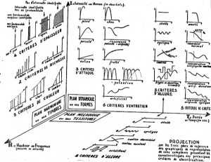 schaeffer-schema